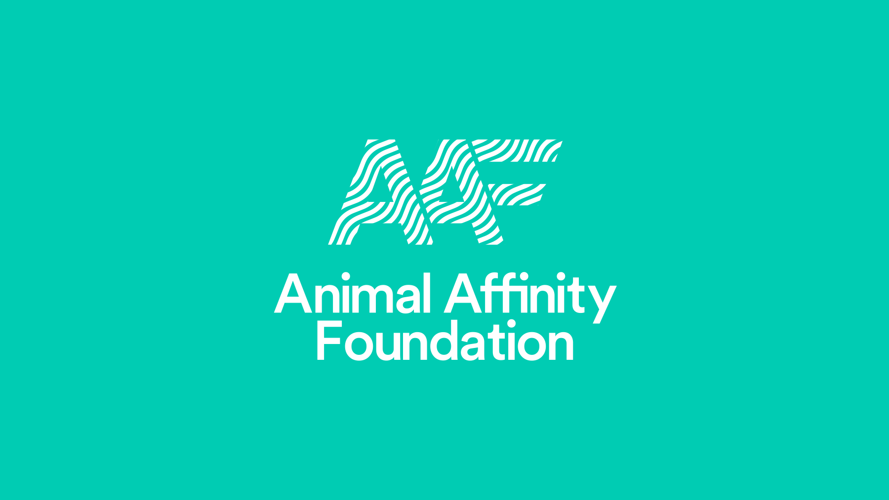 Animal Affinity's final striped brand identity design over a solid teal background.