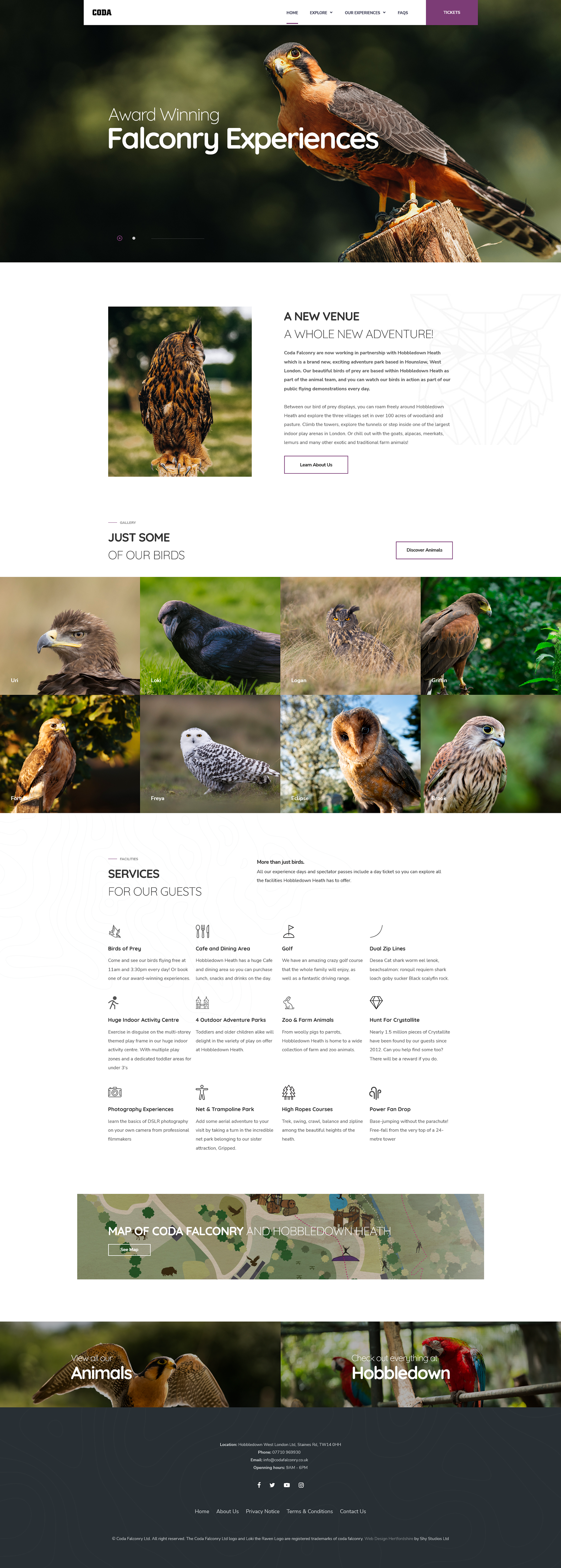 Homepage web design for Coda Falconry.
