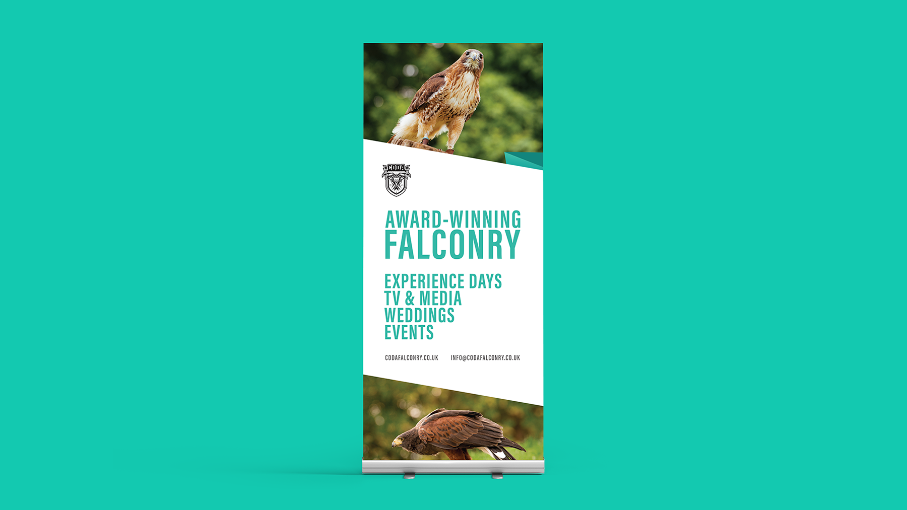 Roller banner design featuring a red-tailed hawk for Coda Falconry.